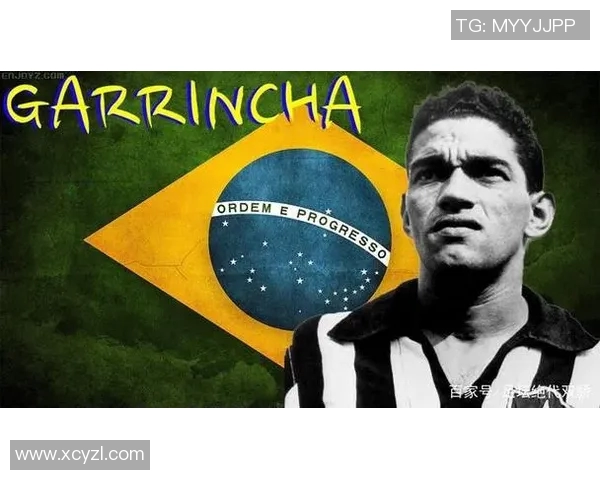 全面探索足球明星的智能搜索应用程序助你一键找到所有球星信息