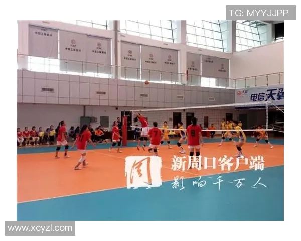 北京排球队的默契配合与战术分析探讨排球运动的魅力与团队精神