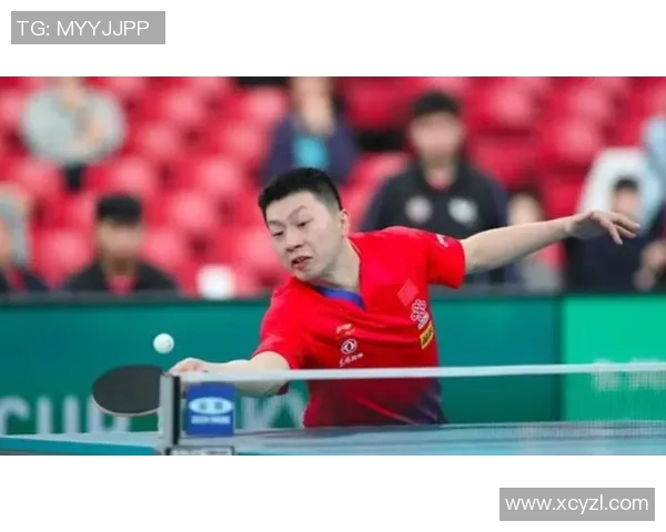 南京乒乓球队区域防守体系的战术解析与实践探讨