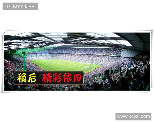 当前巴西足球明星阵容解析与未来潜力球员展望