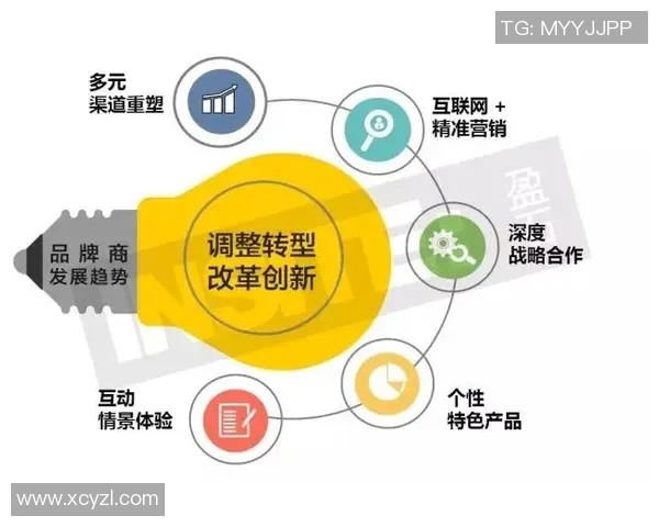 深入分析武汉篮球队的运营策略与市场推广模式